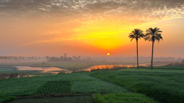 Explore Unique Things to Do in Asyut
