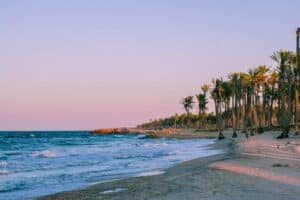 Top Things to Do in Al Arish: Discover Egypt’s Coastal Paradise