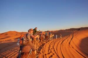  Adventure and Exploration: Desert Safaris