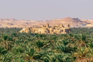 Why Siwa is a Must-Visit Destination